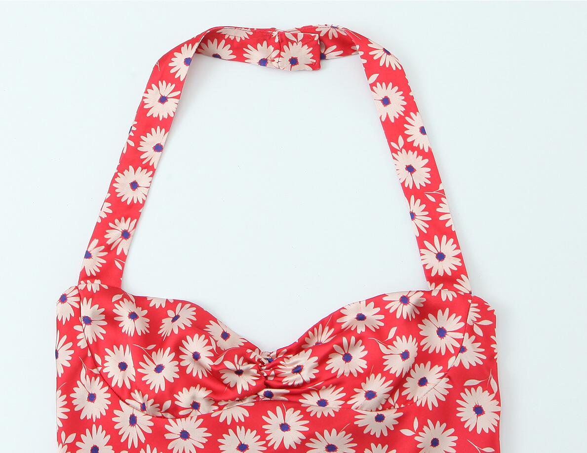 Sexy Red Daisey Floral Print F - đánh giá và giá Ruched Dress Mini